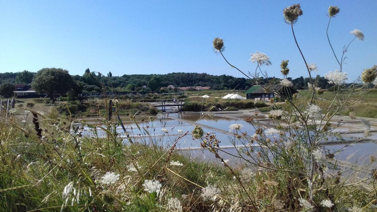 La Chaumette Apartamento Les Sables-dʼOlonne Exterior foto